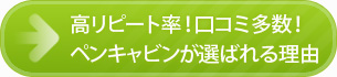 高リピート率！口コミ多数！ペンキャビンが選ばれる理由